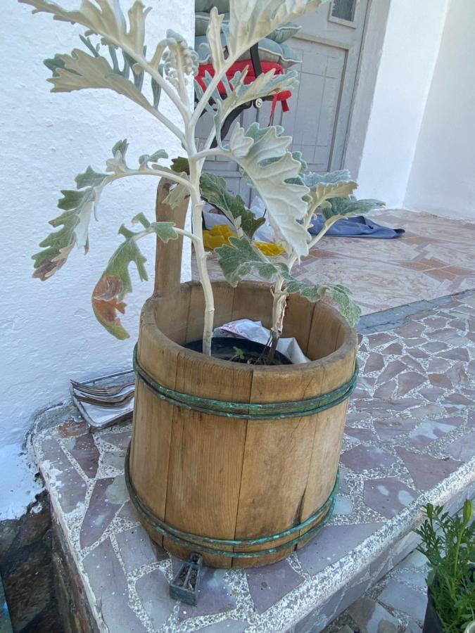 Rupa Guest House Camping שקודר מראה חיצוני תמונה