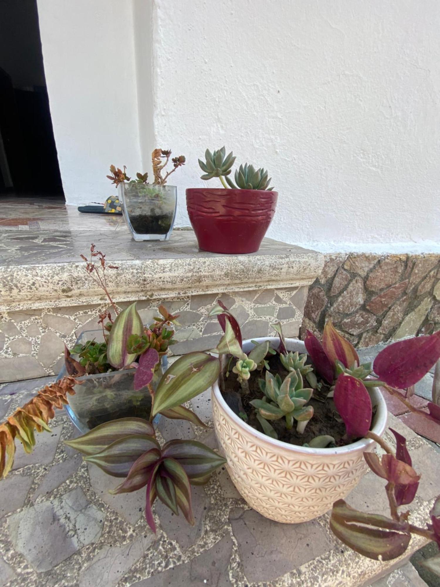 Rupa Guest House Camping שקודר מראה חיצוני תמונה